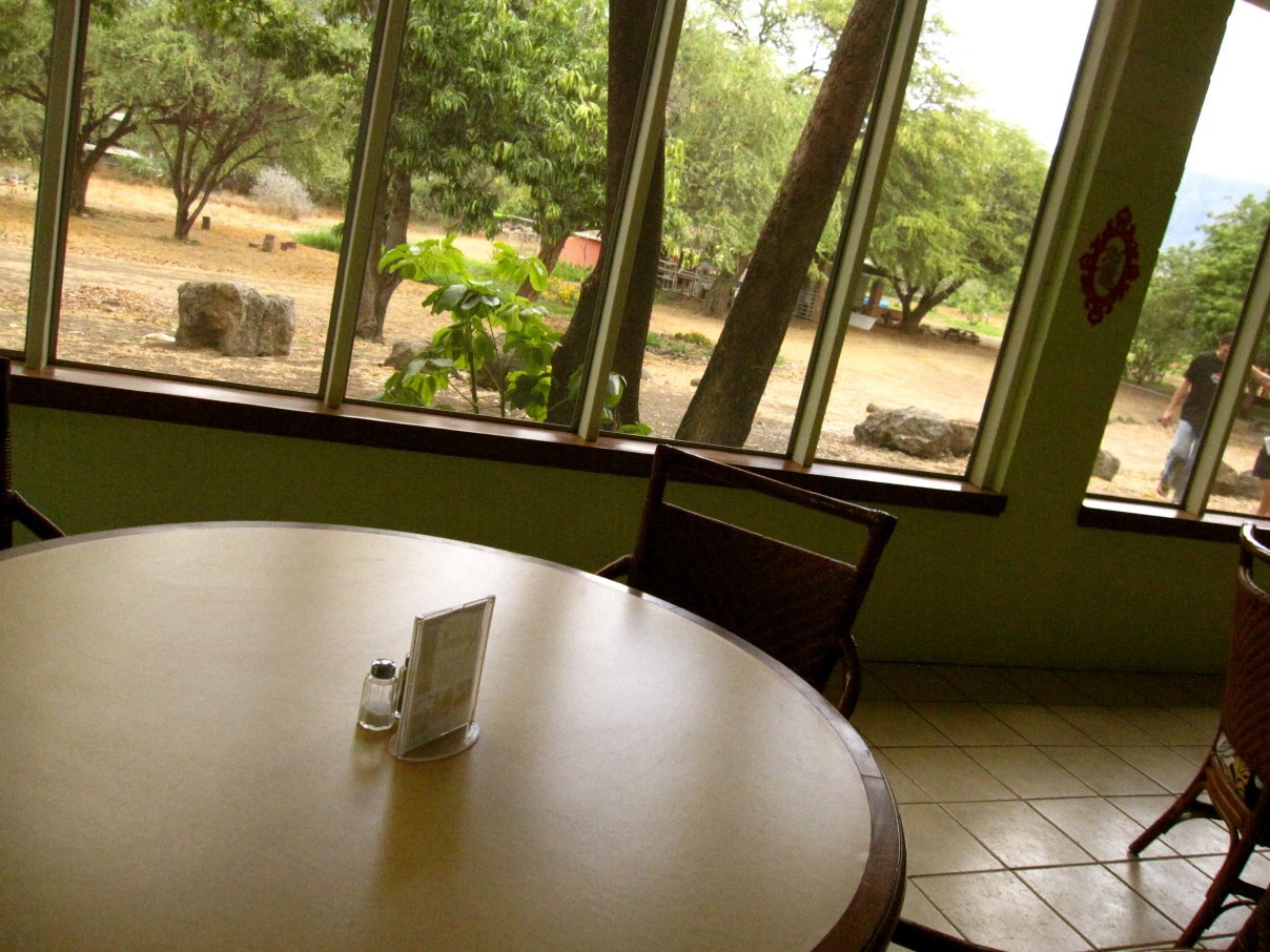 same_day_farm_to_table_Oahu_Waianae_Coast