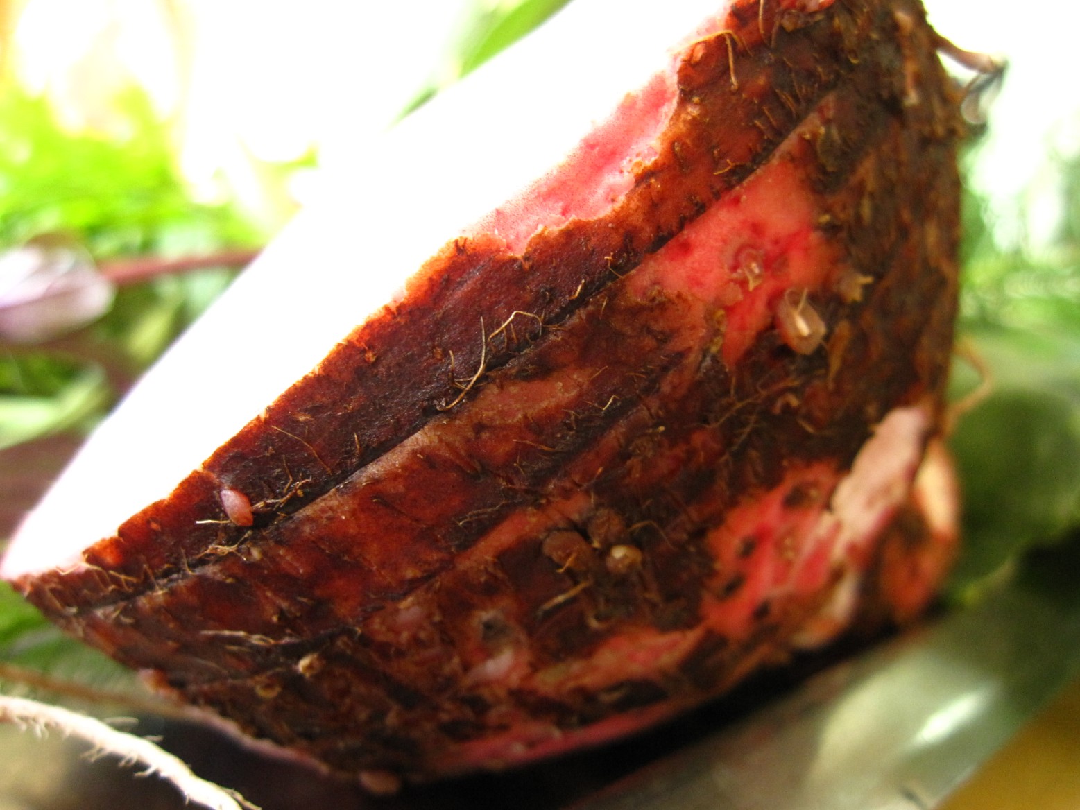 same_day_farm_to_table_Oahu_Waianae_Coast