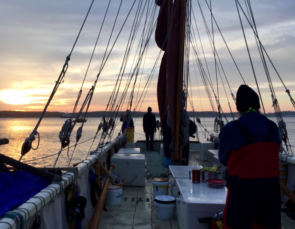 hokulea malama honua