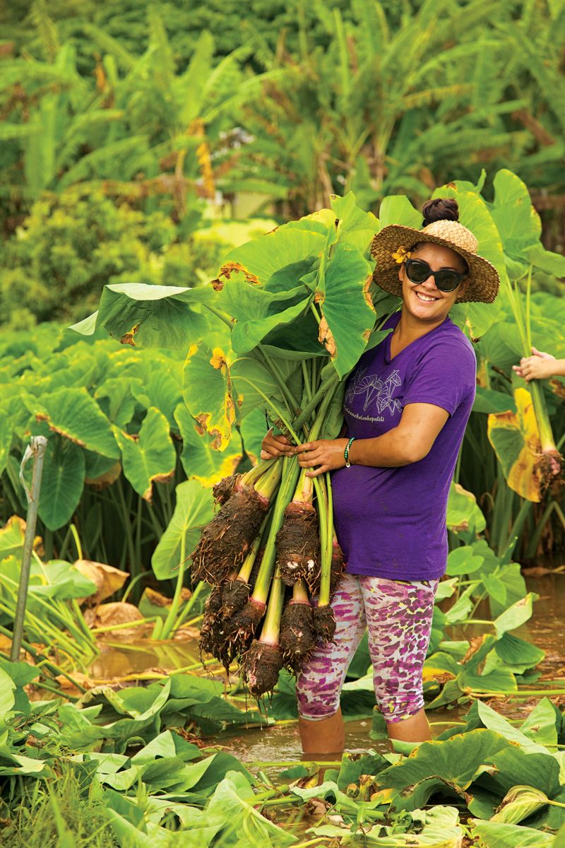 waipa foundation volunteer