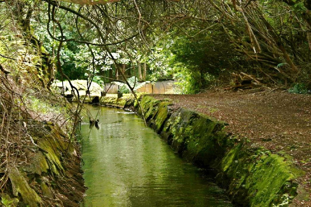 Flumin_Da_Ditch_tour_Big_Island_Hawaii_update Flumin_Da_Ditch_tour_Big_Island_Hawaii_update