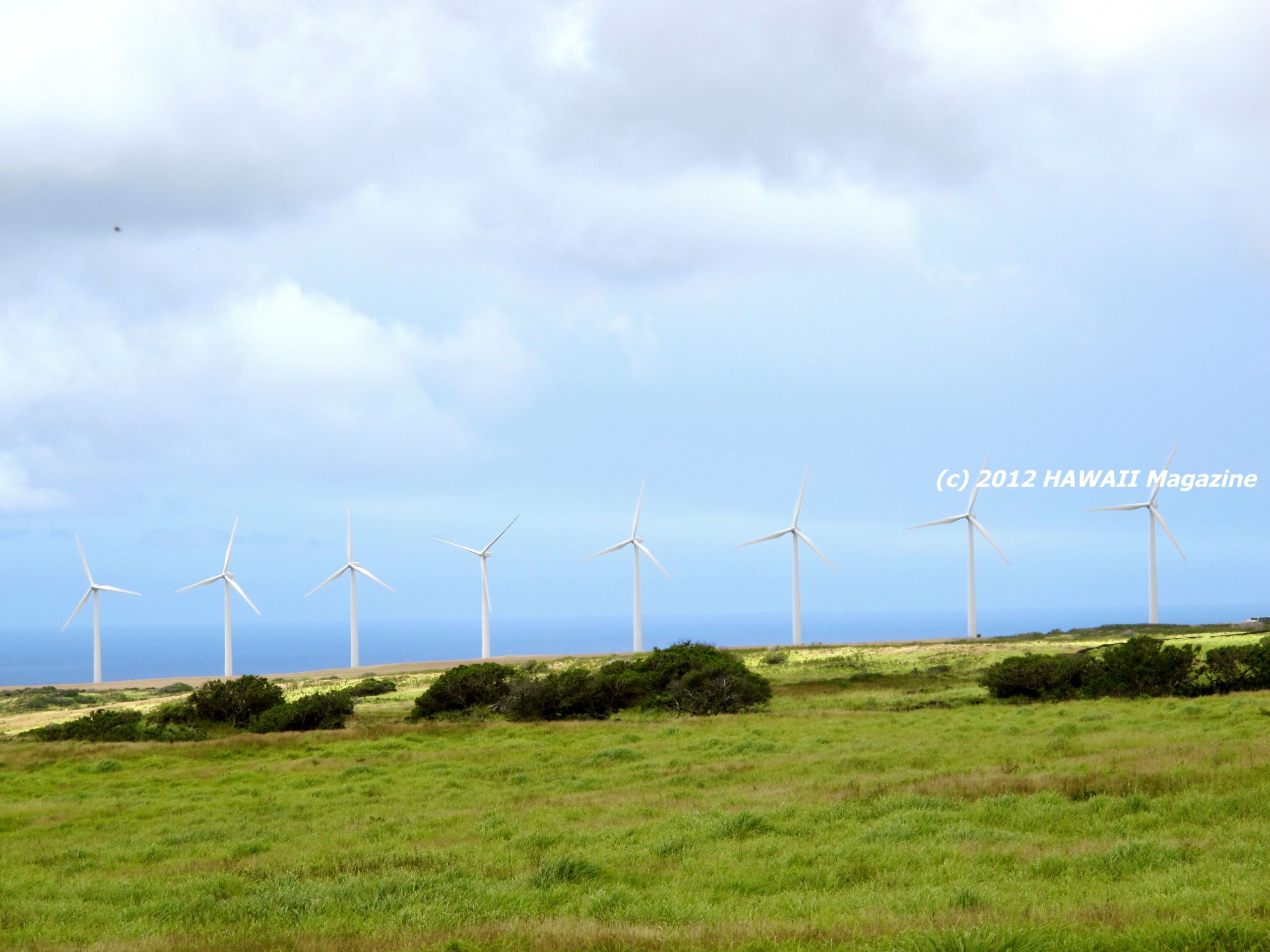 Big_Island_exploring_South_Point