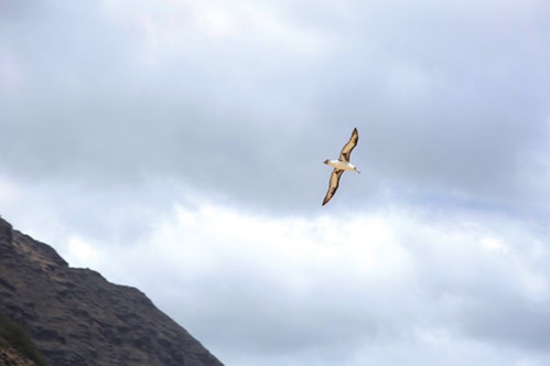 Kaena_Point_hike_Oahu Kaena_Point_hike_Oahu