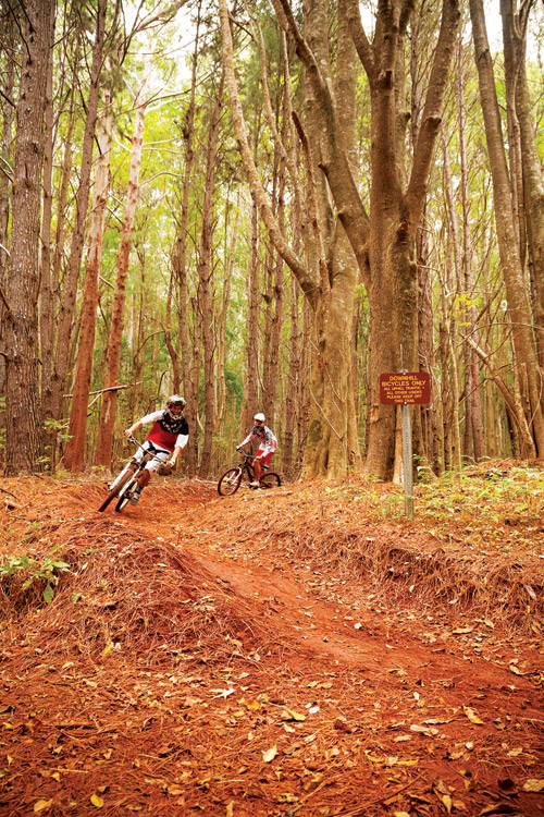 mountain_biking_maui_makawao_forest_reserve