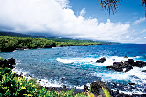 kahanu_gardens_maui_hana_coast_hawaii
