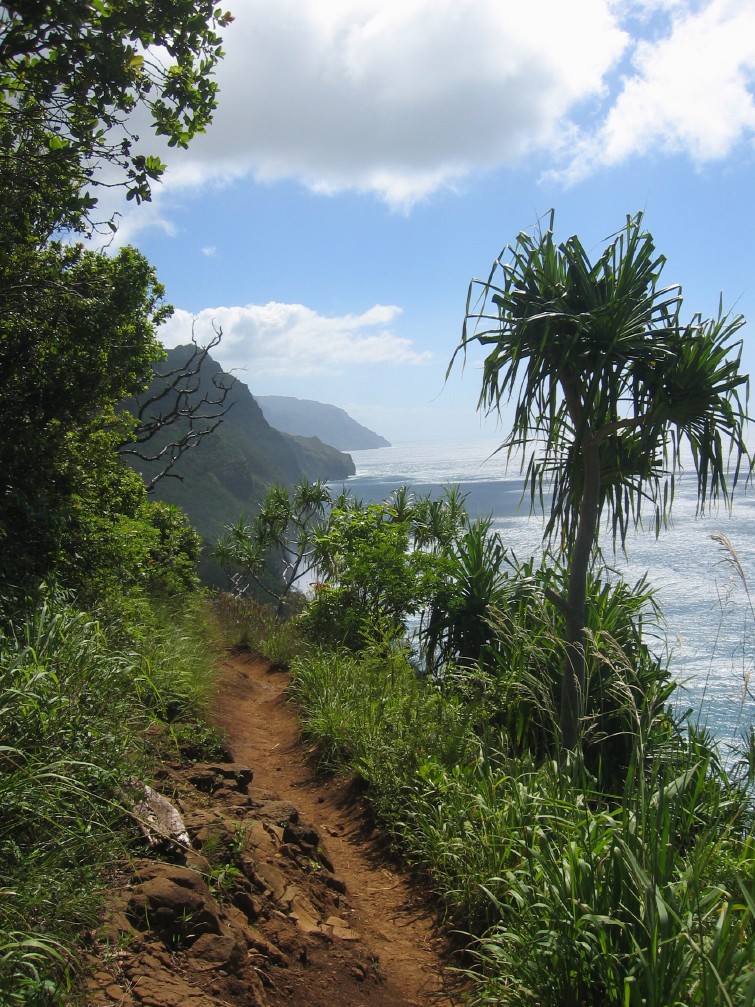 best_of_hawaii_favorite_Hawaii_hiking_trails_2010