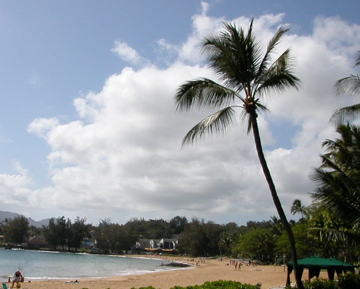 Hawaii_best_beaches_for_bodysurfing