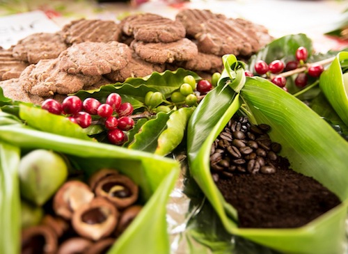 kau_coffee_festival_big_island_hawaii