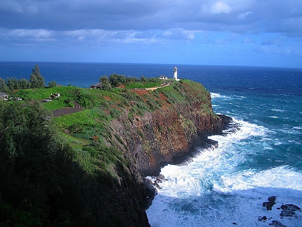 Landlubbers_Guide_to_Whale_Watching