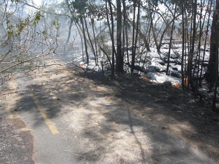 KilaueaKalapanaflow1