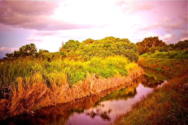 Flumin_Da_Ditch_tour_Big_Island_Hawaii_update Flumin_Da_Ditch_tour_Big_Island_Hawaii_update