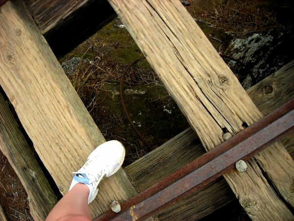 The_Koko_Crater_Trail_I_climb_it