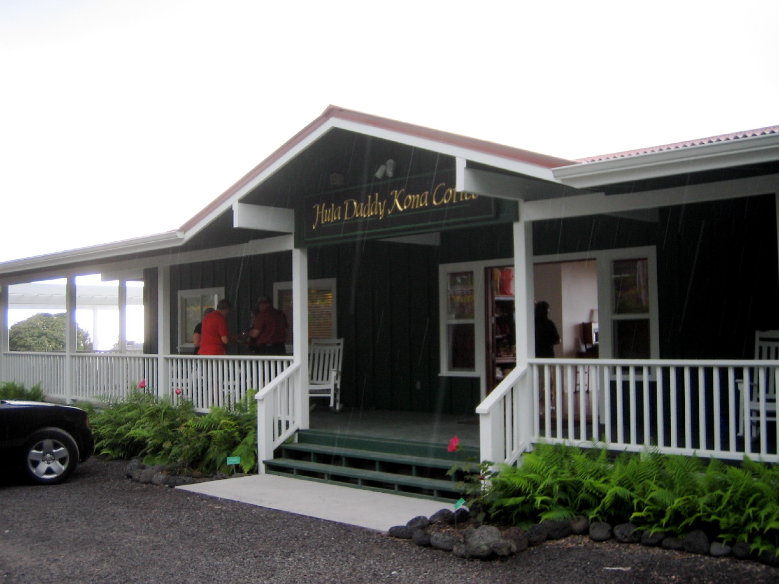 Kona_coffee_Hawaii_closer_look