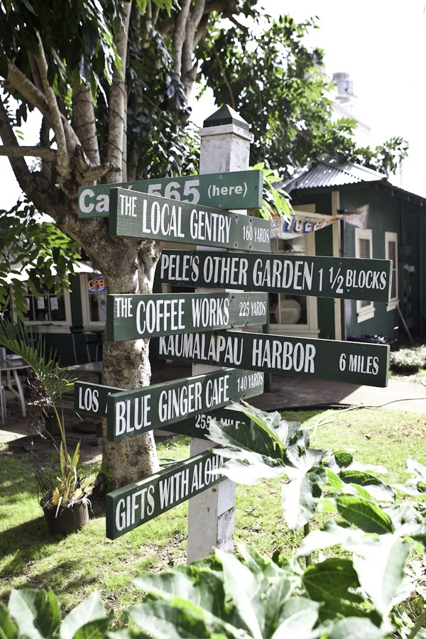 lanai_city_endangered