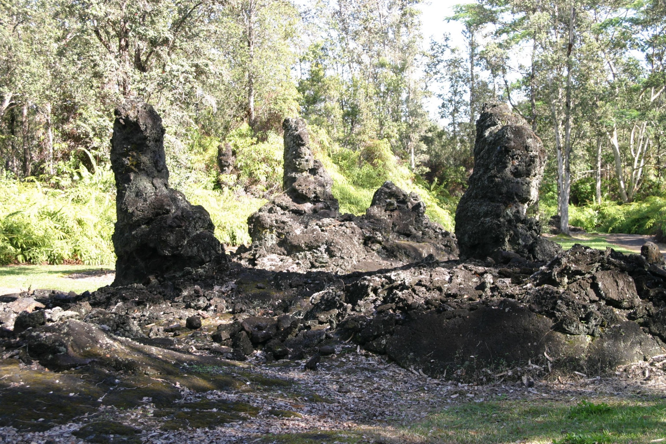 Big_Island_Lava_Tree_State_Monument_reopens Big_Island_Lava_Tree_State_Monument_reopens
