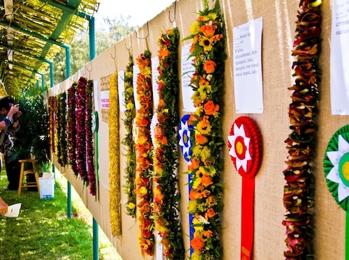 Hawaii_Oahu_Waikiki_Big_Island_Hilo_lei_day Hawaii_Oahu_Waikiki_Big_Island_Hilo_lei_day