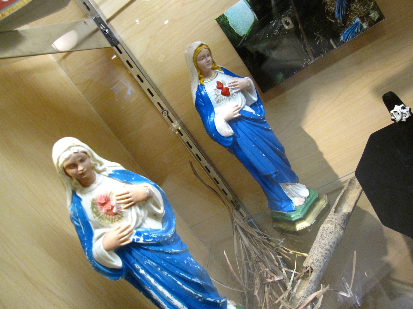 Lost_Hawaii_series_season_cast_creators_TV