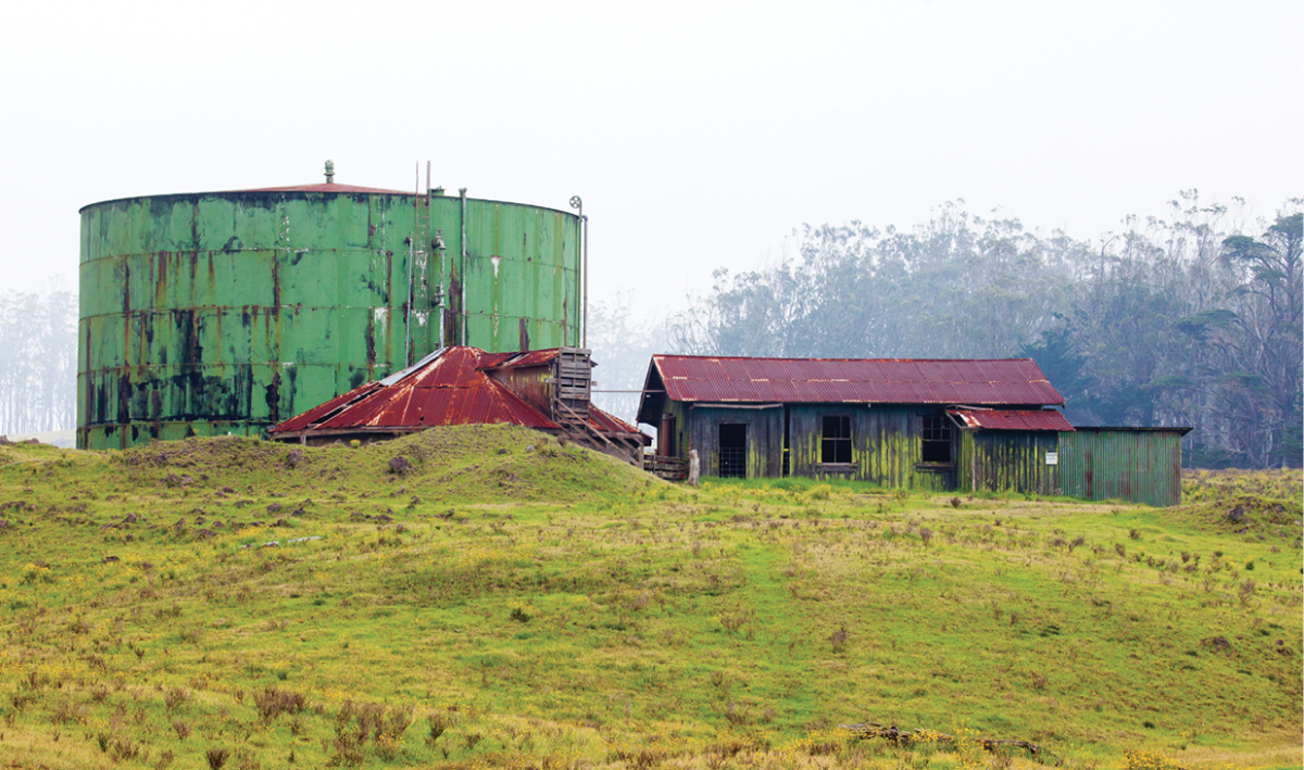 mana road ranching hawaii