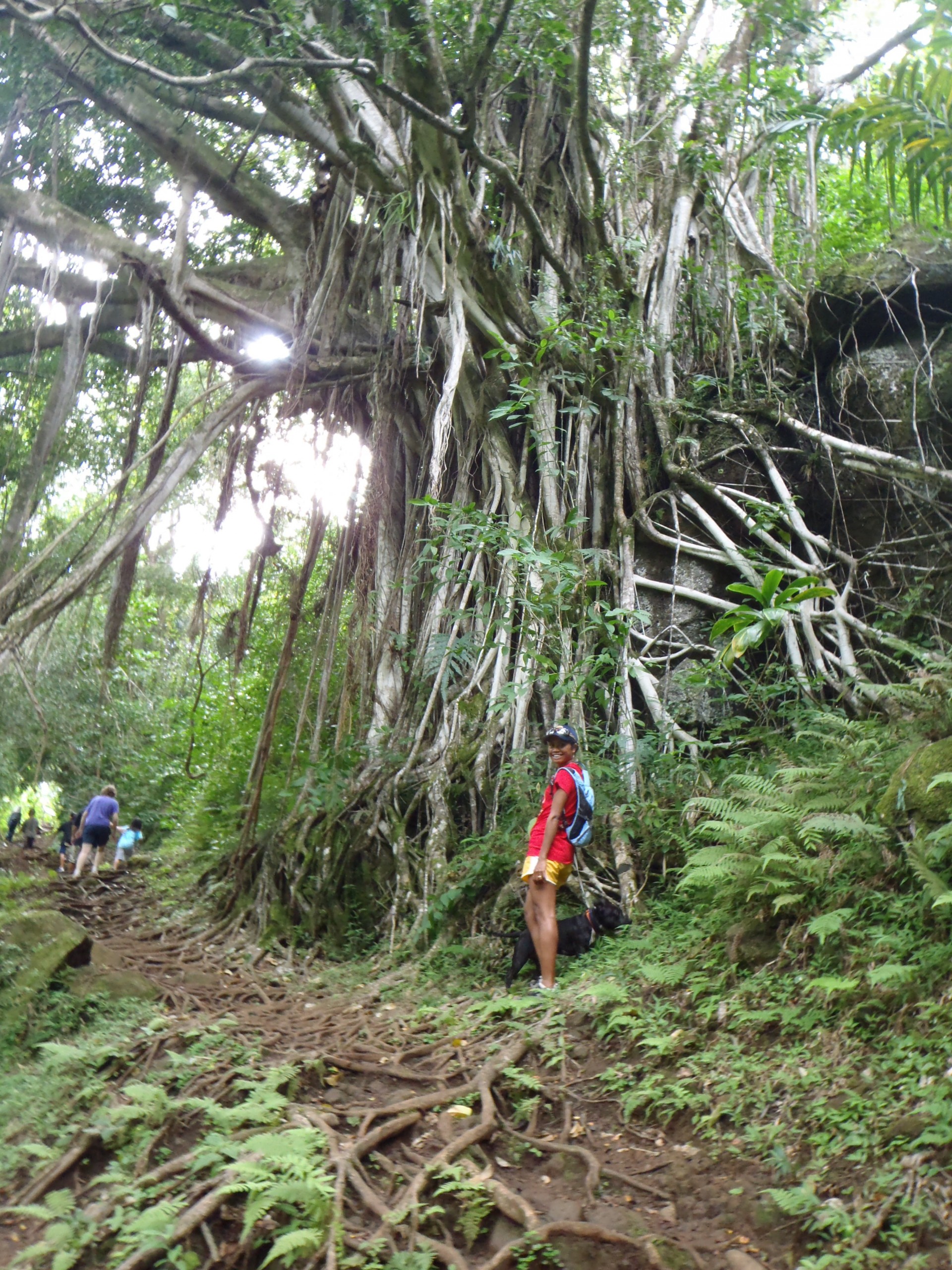 Hawaii_Honolulu_Makiki Valley_hike_trailhead_green