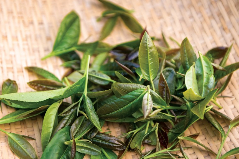 Mallory-Roe_-cloudwater2