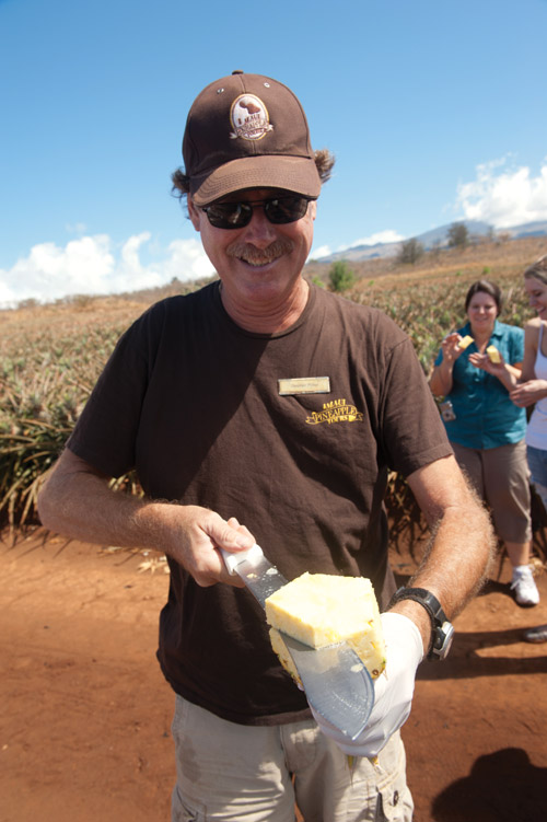 fields_of_gold_maui_pineapple_company