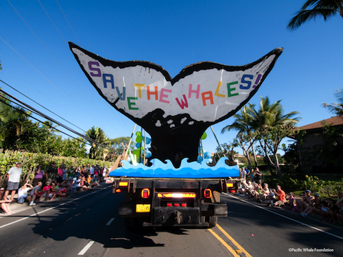 maui_whale_festival_world_day_parade maui_whale_festival_world_day_parade