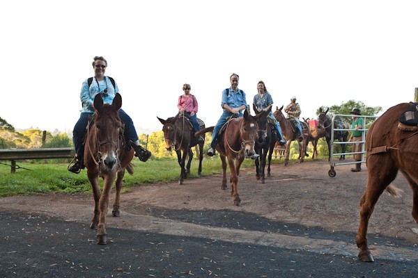 Hawaii_Magazine_Molokai_complete_ guide_to_visiting