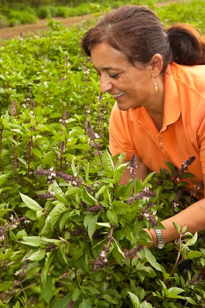 Hawaii_Magazine_Molokai_complete_ guide_to_visiting