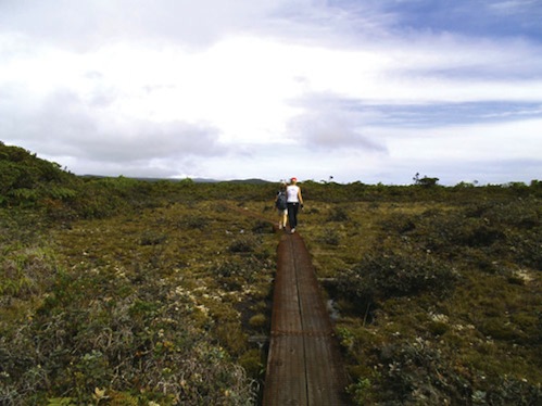Napali_attic_Kauai_hike
