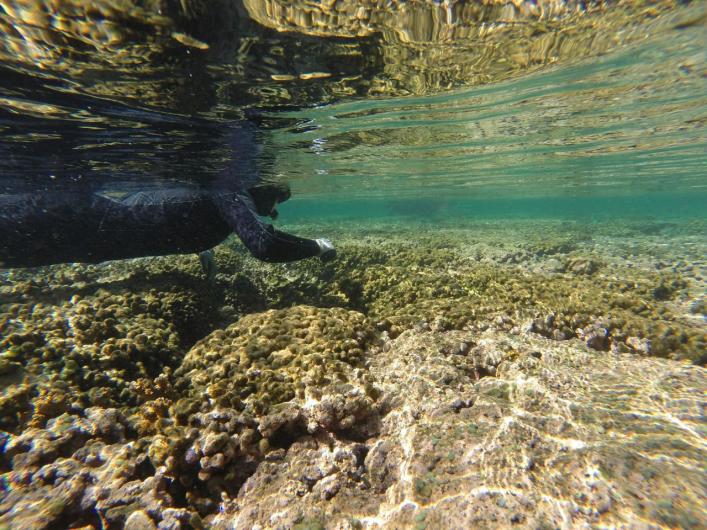 Nj6a7uKDd_u8JF-lqyRDkzz3oLgF6GnNlYDygp62j_4,tVSSdBidggPQlekOx-vu8uTGvp_SmZh118x2oAnuDfw