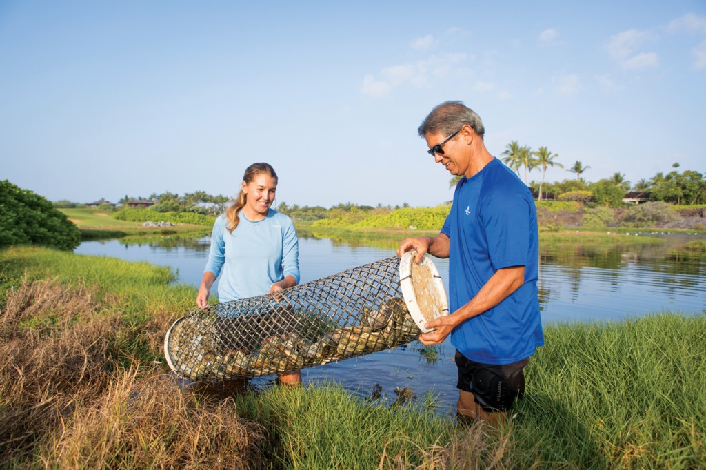 OYSTERS_courtesyFSHR