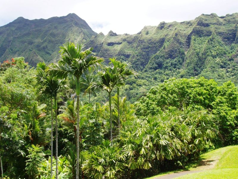 best_of_Hawaii_favorite_road_trips