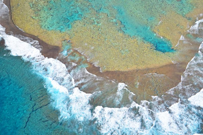 hawaii magazine photo contest