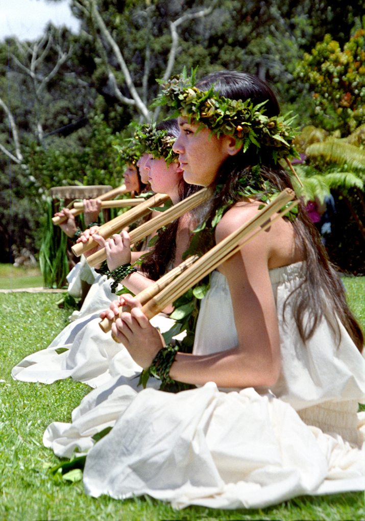 hula_kilauea_volcano_summit_chicken_skin
