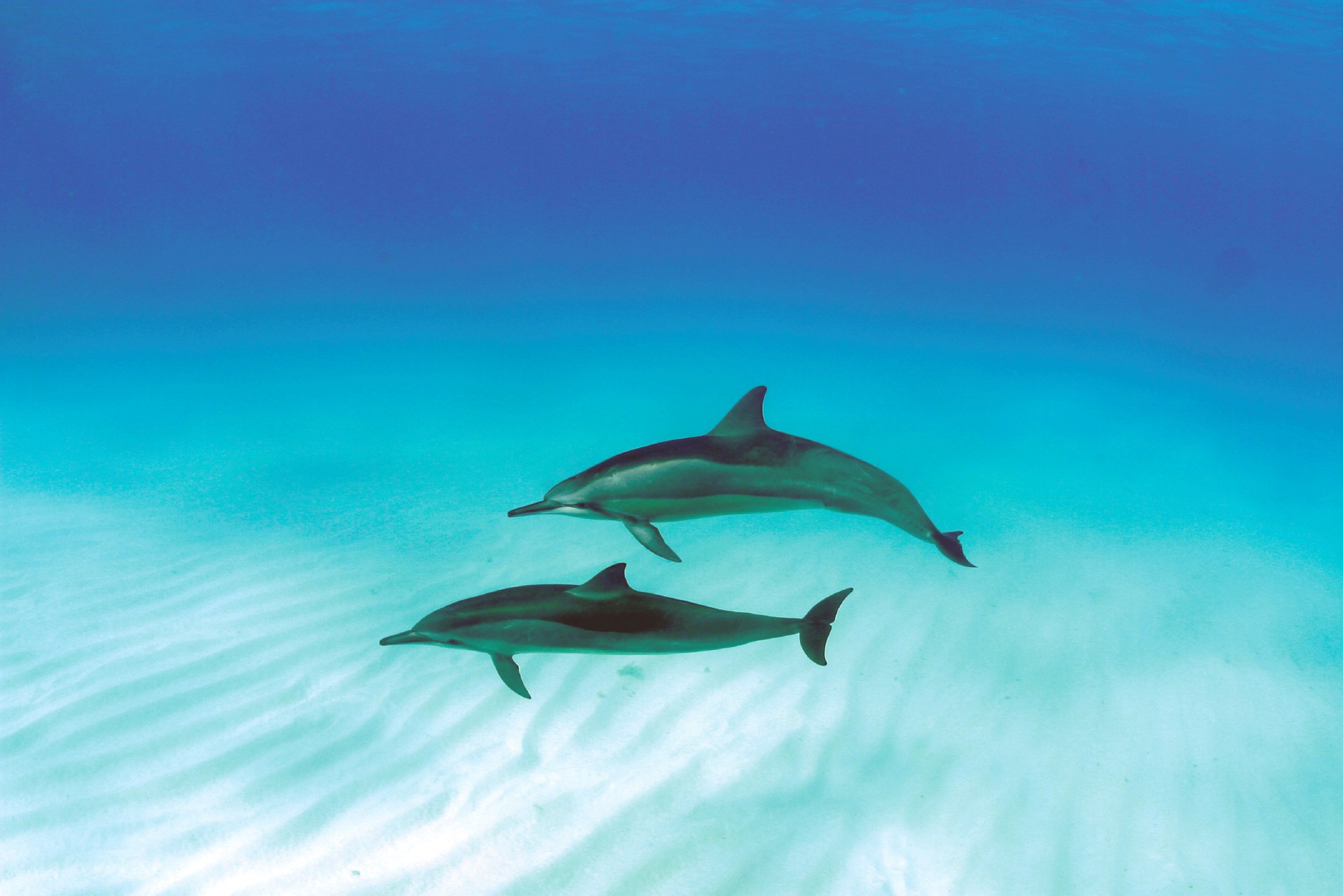 Hawaii_Papahanaumokuakea_Marine_National_Monument_World_Heritage_site