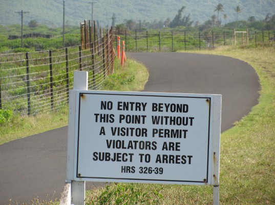 Saint_Damien_Hawaii_art_aloha_shirts