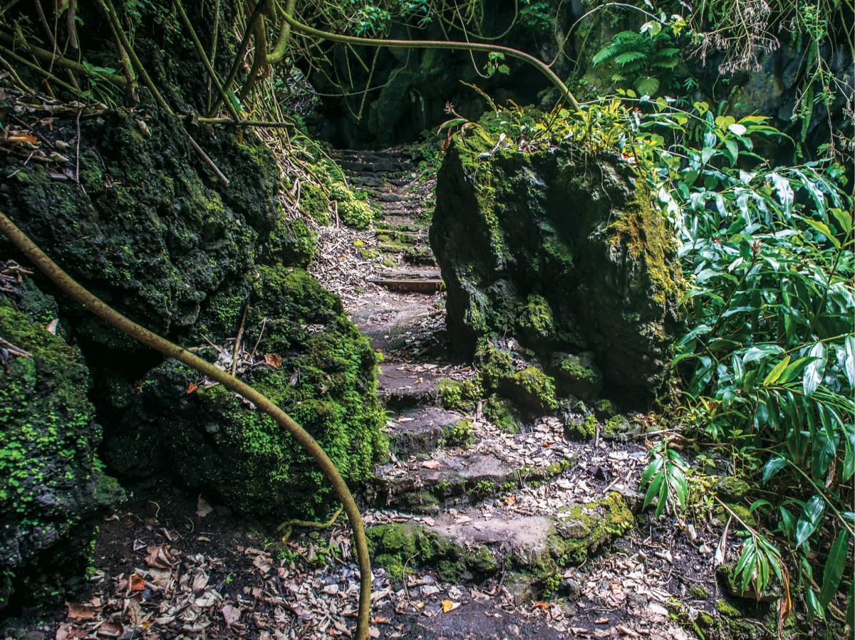 kings highway hana trail