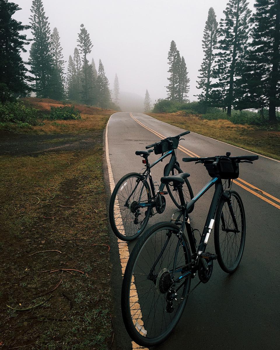 lanai cycles bike tour