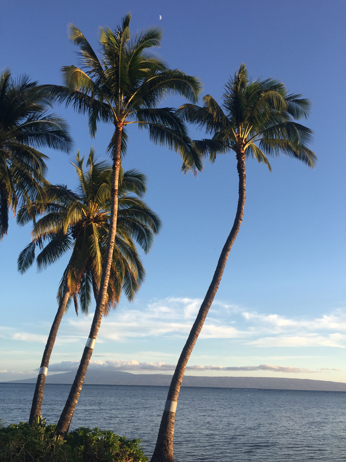 best molokai hawaii magazine