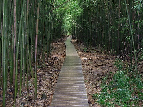 top_five_favorite_Hawaii_hiking_trails