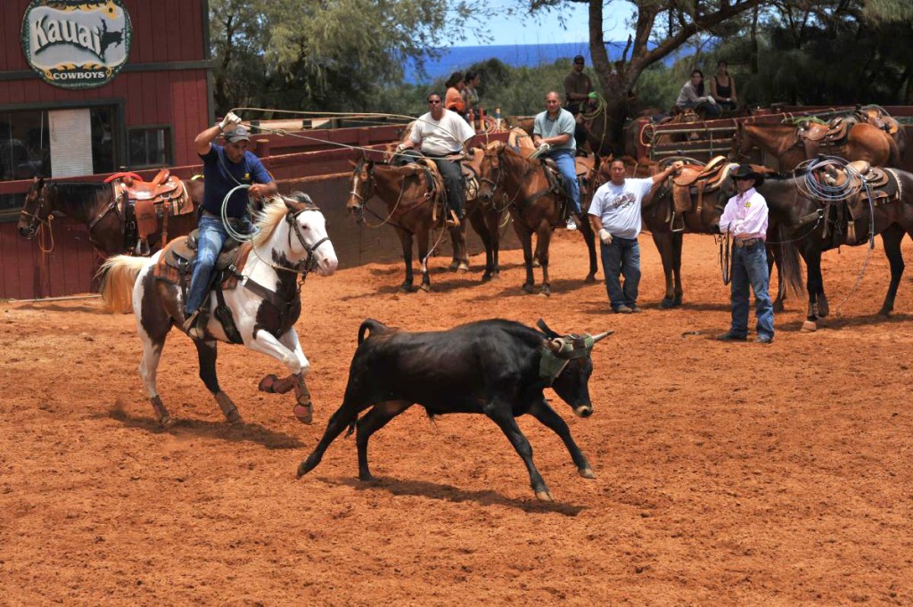 plantation days rodeo