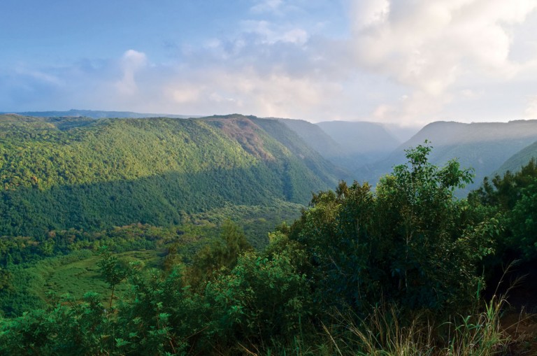 hawaii pololu Valley