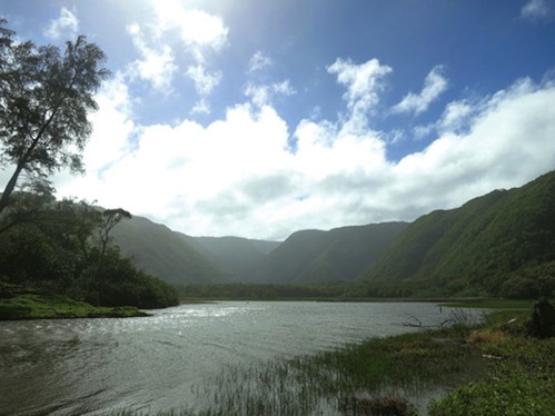 Pololu_Valley_Big_Island