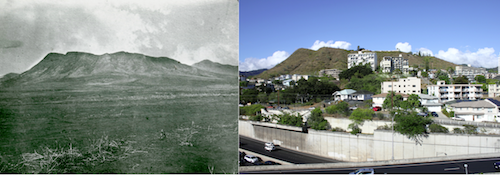 bishop_museum_change_exhibit_125_years