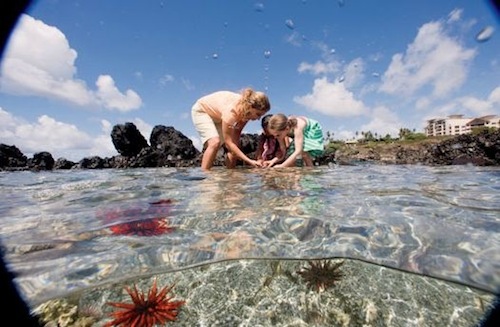 maui_ambassadors_of_environment_undersea_exploration_kapalua_bay
