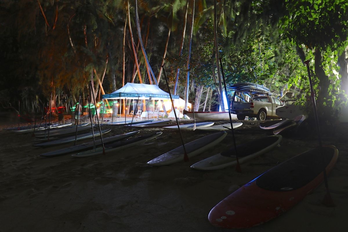 full moon paddle turtle bay