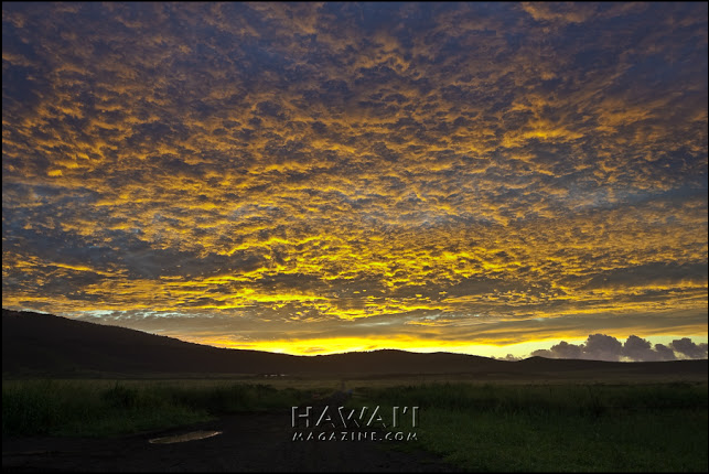 Screen Shot 2015-01-22 at 10