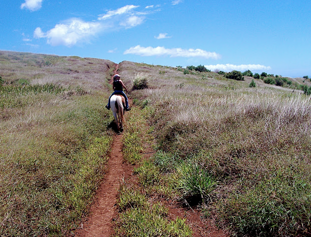 Screen Shot 2015-01-24 at 10