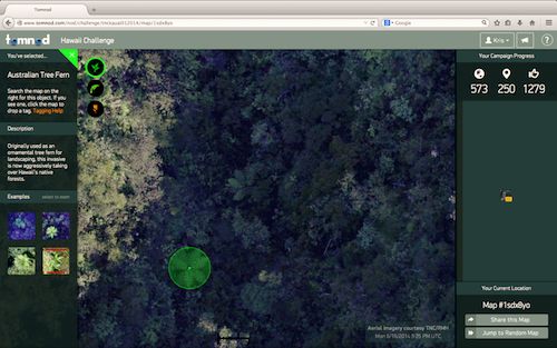 hawaii_challenge_save_kauai_rainforests