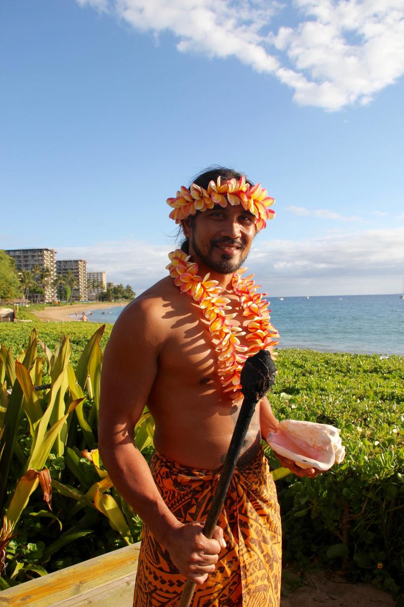 sheraton cliff diving